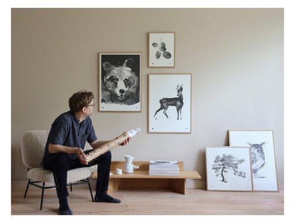 Teemu Järvi Plakát s motivem lišky Red Fox 50x70