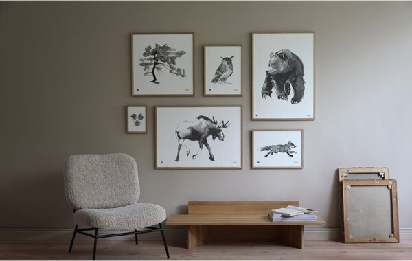 Teemu Järvi Plakát s motivem medvěda Mysterious bear 50x70