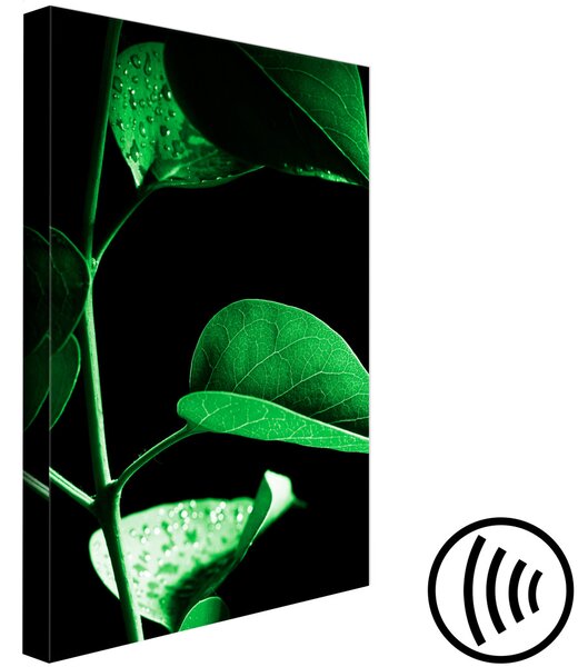 Obraz Rostlina v černé barvě (1 panel) vertikální