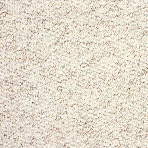 Balta koberce Metrážový koberec Evita 6404 - Rozměr na míru bez obšití cm