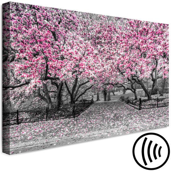 Obraz Park magnólií (1-dílný) široký - růžové květy v šedém klimatu