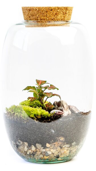 Skleněná dóza CORNUS s korkovým špuntem, 22x15 cm - osázené vlhkomilně