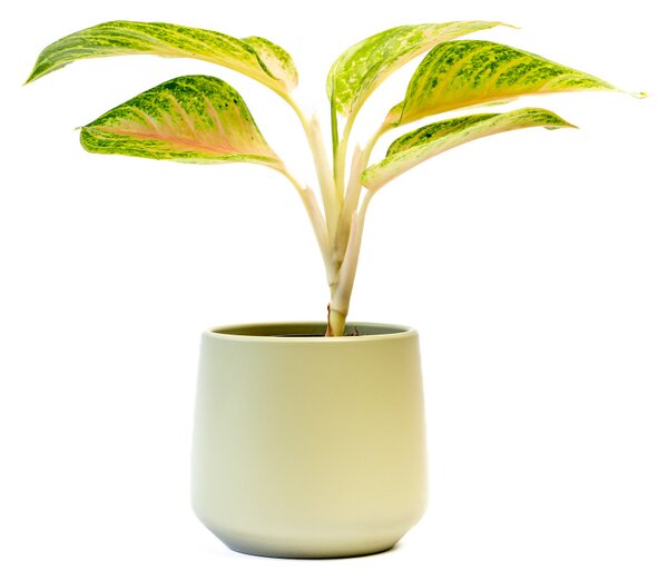 Keramický obal BERLIN 15 cm, pistáciová