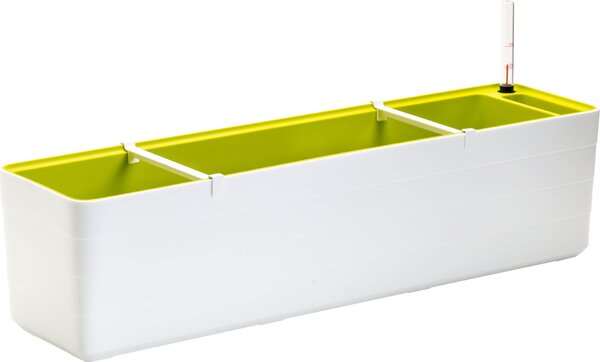Samozavlažovací truhlík Berberis bílá + zelená 80 cm
