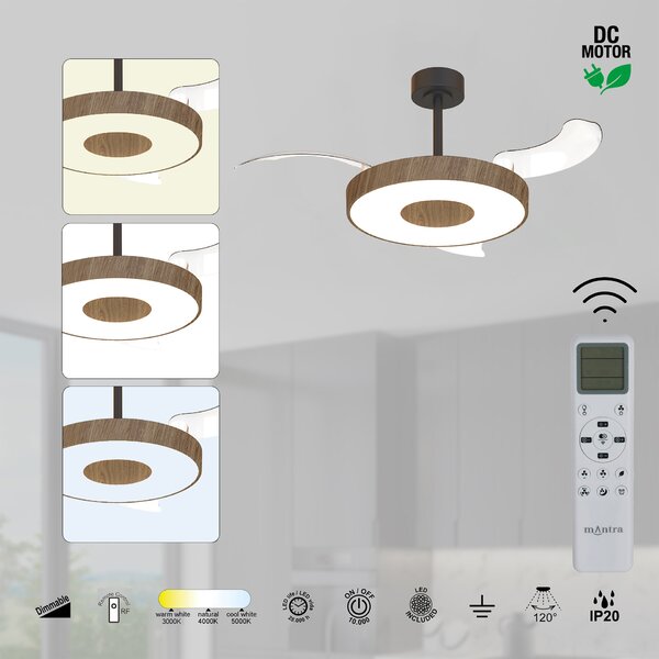 Mantra 9641 Coin Smart, rozvinovací ventilátor se svítidlem a dálk. ovladačem, LED 40W 3000-5000K, černá/tmavá dřevěná, průměr 50/106cm