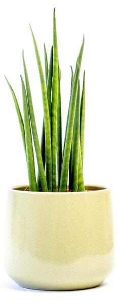 Keramický obal BERLIN 11 cm, zelená lesklá