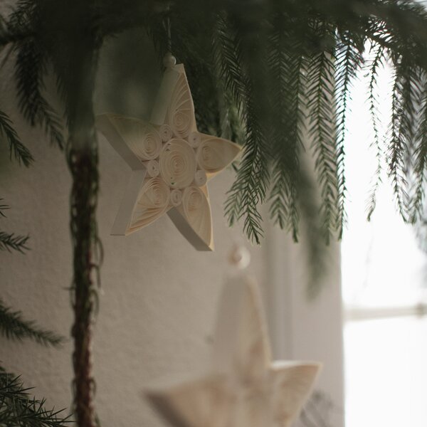 DBKD Papírová ozdoba Star White - Small DK350