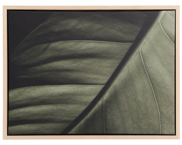 Kave Home Obraz Foliae 30 x 40 cm