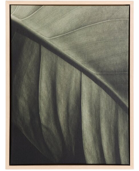 Kave Home Obraz Foliae 30 x 40 cm