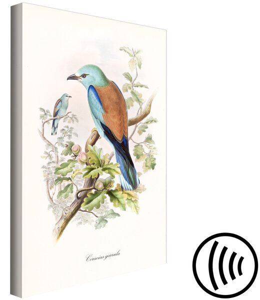 Obraz Krahujec obecný - Kresba pestrobarevného ptáka sedícího na větvi