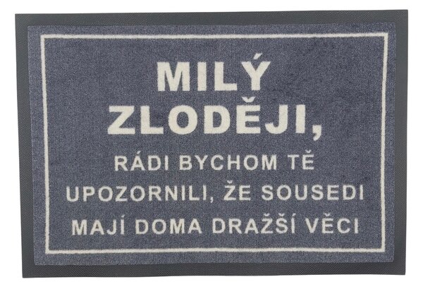 GDmats, POSLEDNÍ ŠANCE: Rohožka Milý zloději 40x60 cm - na ven i na doma, 40x60, šedá