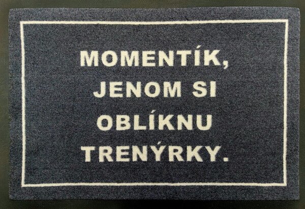 GDmats, POSLEDNÍ ŠANCE: Trenýrková rohožka 40x60 cm - na ven i na doma, 40x60, šedá