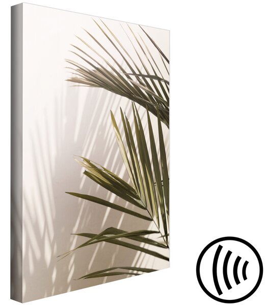 Obraz Palmové listy - slunečný pohled na klidnou hru světla a stínu