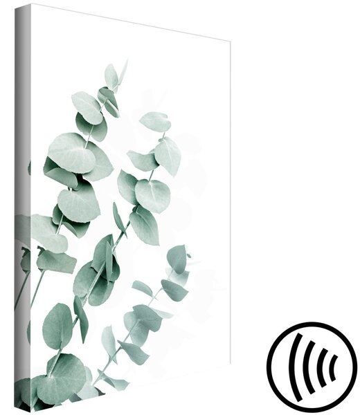 Obraz Listy eukalyptu - zelené větvičky rostlin na bílém pozadí