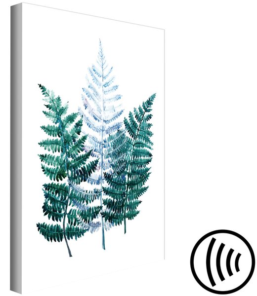 Obraz Voňavá příroda - zelené listy kapradí na bílém pozadí