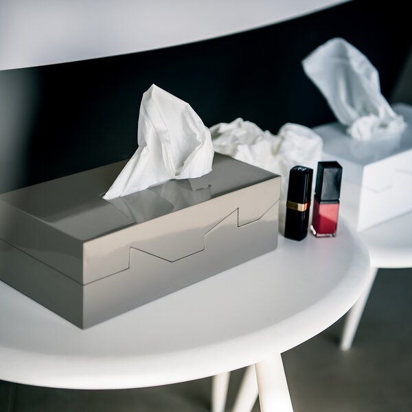 Spirella box na kapesníky SILHOUETTE, bílý, plast