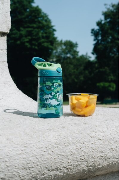 Contigo Dětská láhev Easy Clean 420 ml, Green Dinoboy