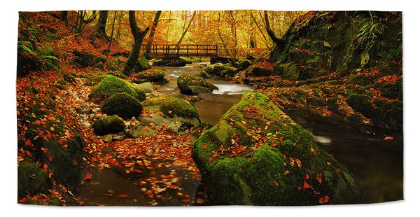 Ručník SABLIO - Most v lese 30x50 cm