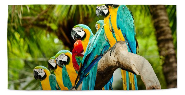 Ručník SABLIO - Papoušci na větvi 30x50 cm