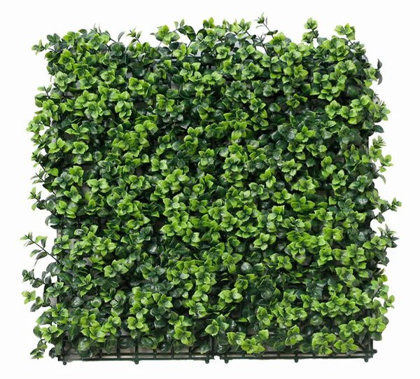 Umělý živý plot LEUCODENDRON, 4ks dílce 50x50cm, plocha 1m2