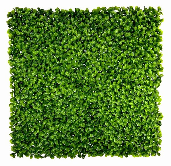 Umělý živý plot PEPŘINEC, 4ks dílce 50x50cm, plocha 1m2