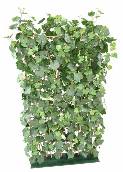 Umělý živý plot VINNÁ RÉVA PLAST UV, 170x110cm