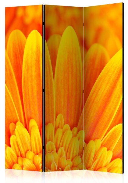 Artgeist Paraván - Yellow gerbera daisies [Room Dividers] Size: 135x172