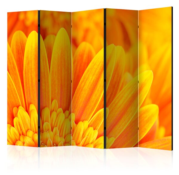 Artgeist Paraván - Yellow gerbera daisies II [Room Dividers] Size: 225x172