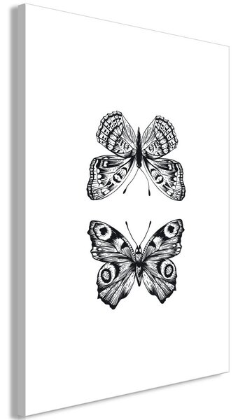 Obraz - Dva motýli 40x60