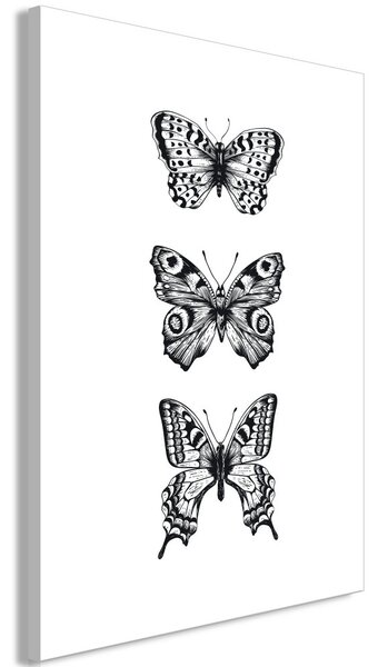 Obraz - Tři motýli 40x60