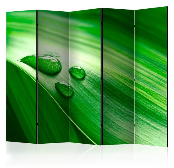 Artgeist Paraván - Leaf and three drops of water II [Room Dividers] Size: 225x172