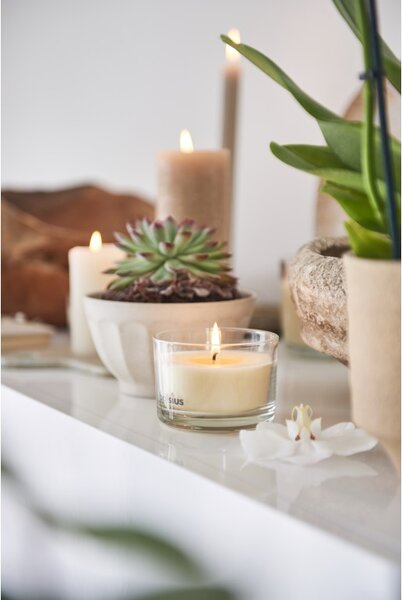 Bolsius Aromatic 2.0 Vonná svíčka ve skle, 80x50mm, Vanilla