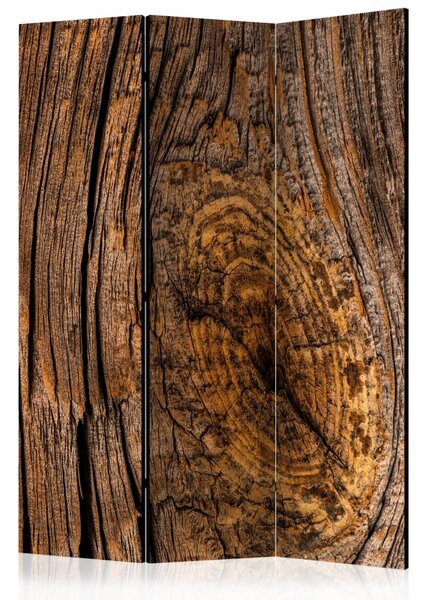 Paraván - Starý strom 135x172