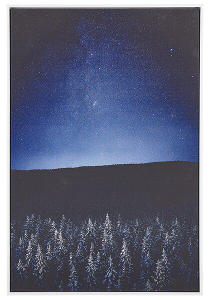 Zarámovaný obraz na plátně noční krajina 63 x 93 cm černomodrý LORETO