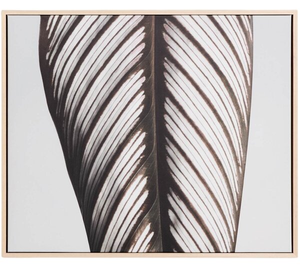 Kave Home Obraz Foliae 60 x 50 cm