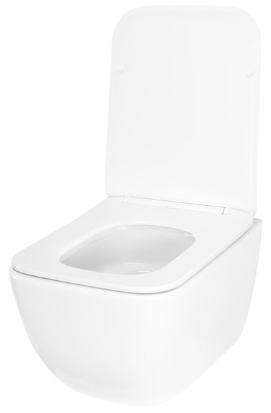 WC mísa bez splachovacího okruhu Rea Dexter Tornado