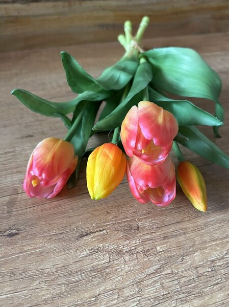 Kytice tulipánů v různých barvách Barva: Bílá