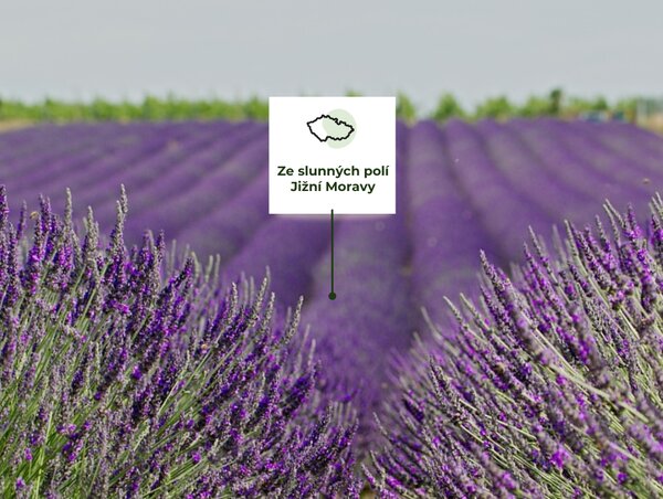 Pěnová koupelová bomba pro děti z levandule lékařské, 100 % BIO