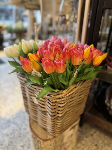 Kytice tulipánů v různých barvách Barva: Bílá