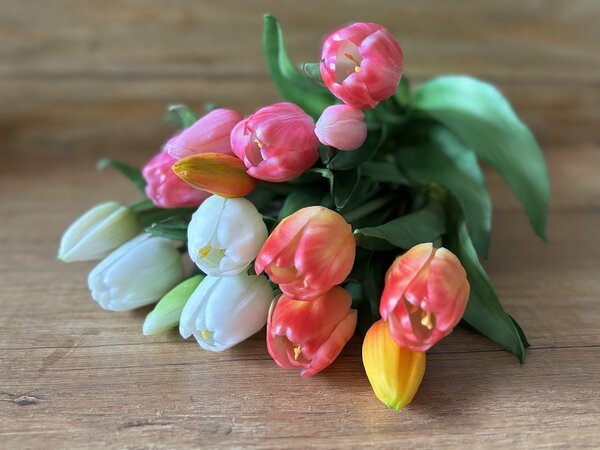 Kytice tulipánů v různých barvách Barva: Bílá