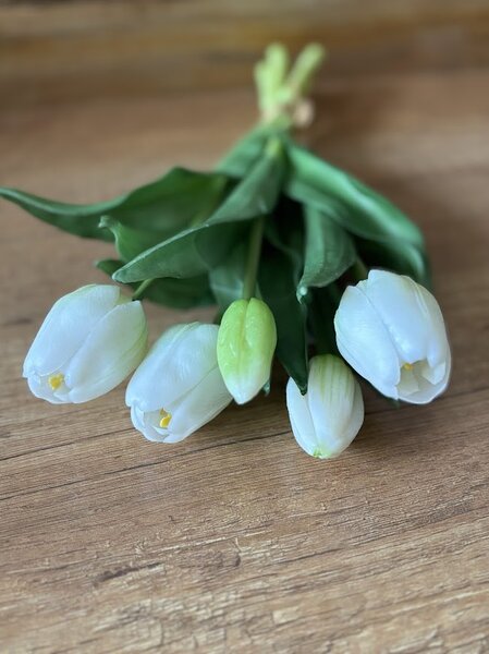 Kytice tulipánů v různých barvách Barva: Bílá