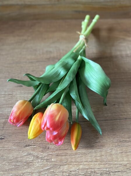 Kytice tulipánů v různých barvách Barva: Bílá