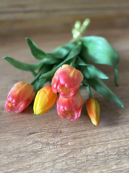 Kytice tulipánů v různých barvách Barva: Bílá