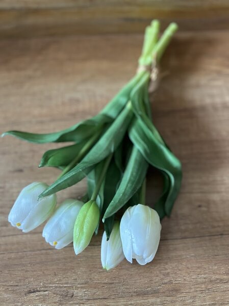 Kytice tulipánů v různých barvách Barva: Bílá