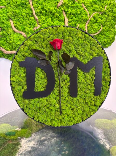 Mechový obraz - Depeche Mode Velikost rámu: 30cm