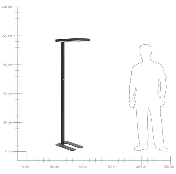 LED stojací lampa TAURUS se stmívačem Kov Černá