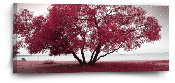 Sablio Obraz Červený strom - 110x50 cm