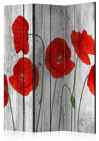 Artgeist Paraván - Tale of Red Poppies [Room Dividers] Size: 135x172