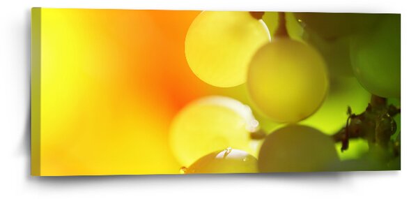 Sablio Obraz Hroznové víno - 110x50 cm