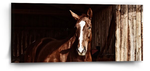 Sablio Obraz Kůň ve stáji - 110x50 cm